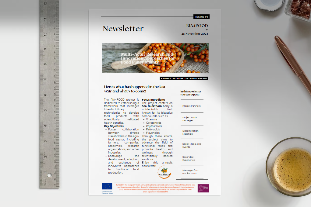 Read more about the article First-year newsletter