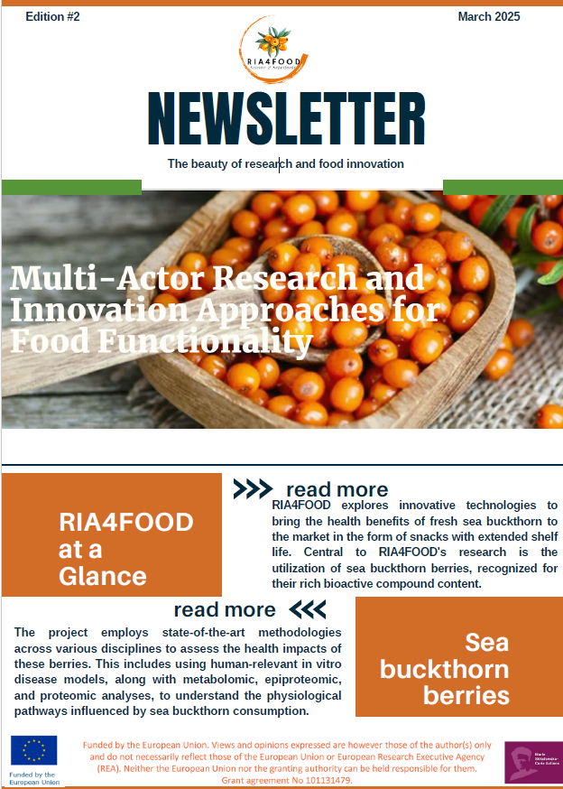 Read more about the article Second Newsletter